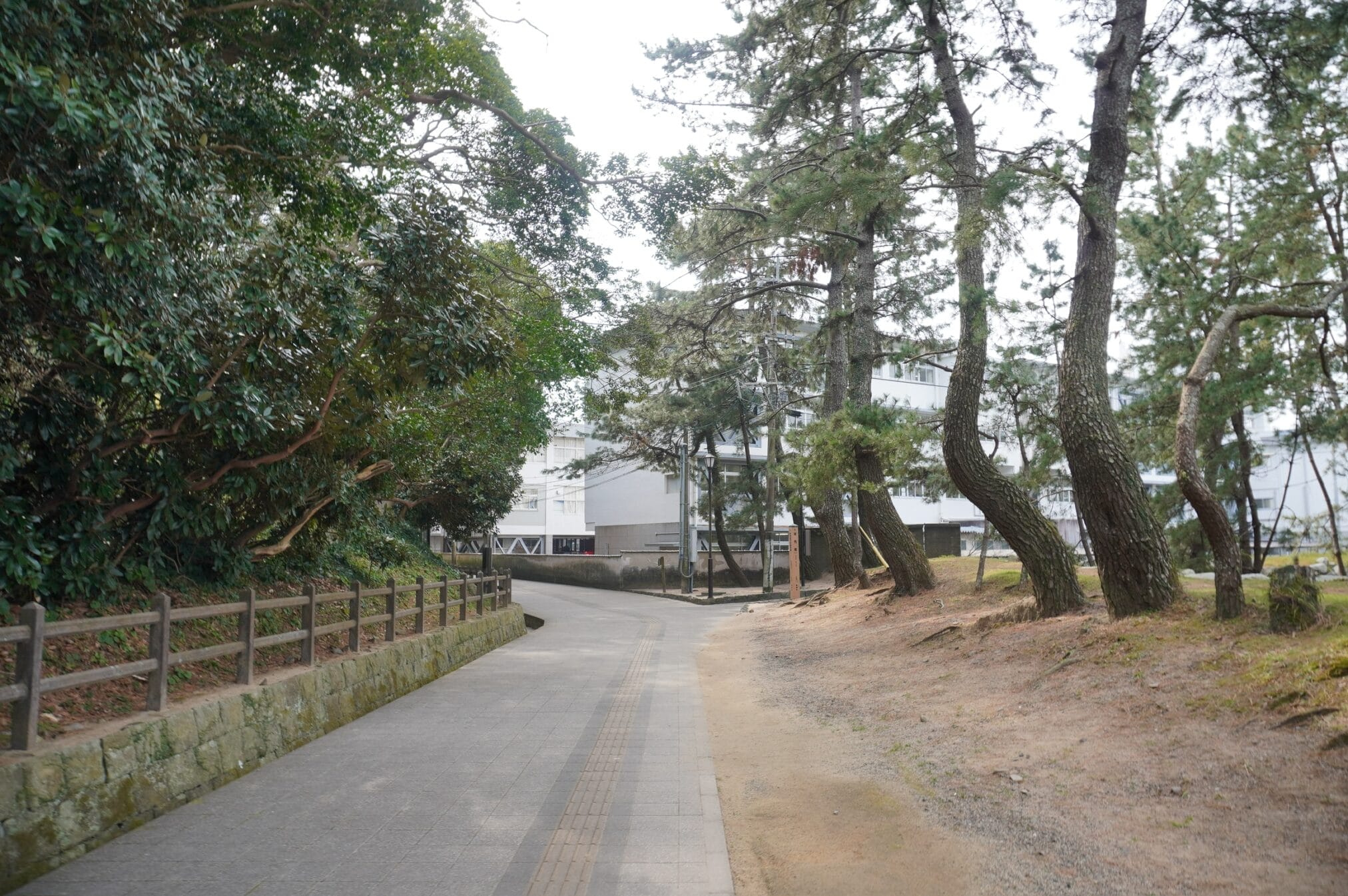 ทางเดินในฟุกุโอกะระหว่างการเดินทางบนถนนคิวชู มีต้นไม้และอาคาร