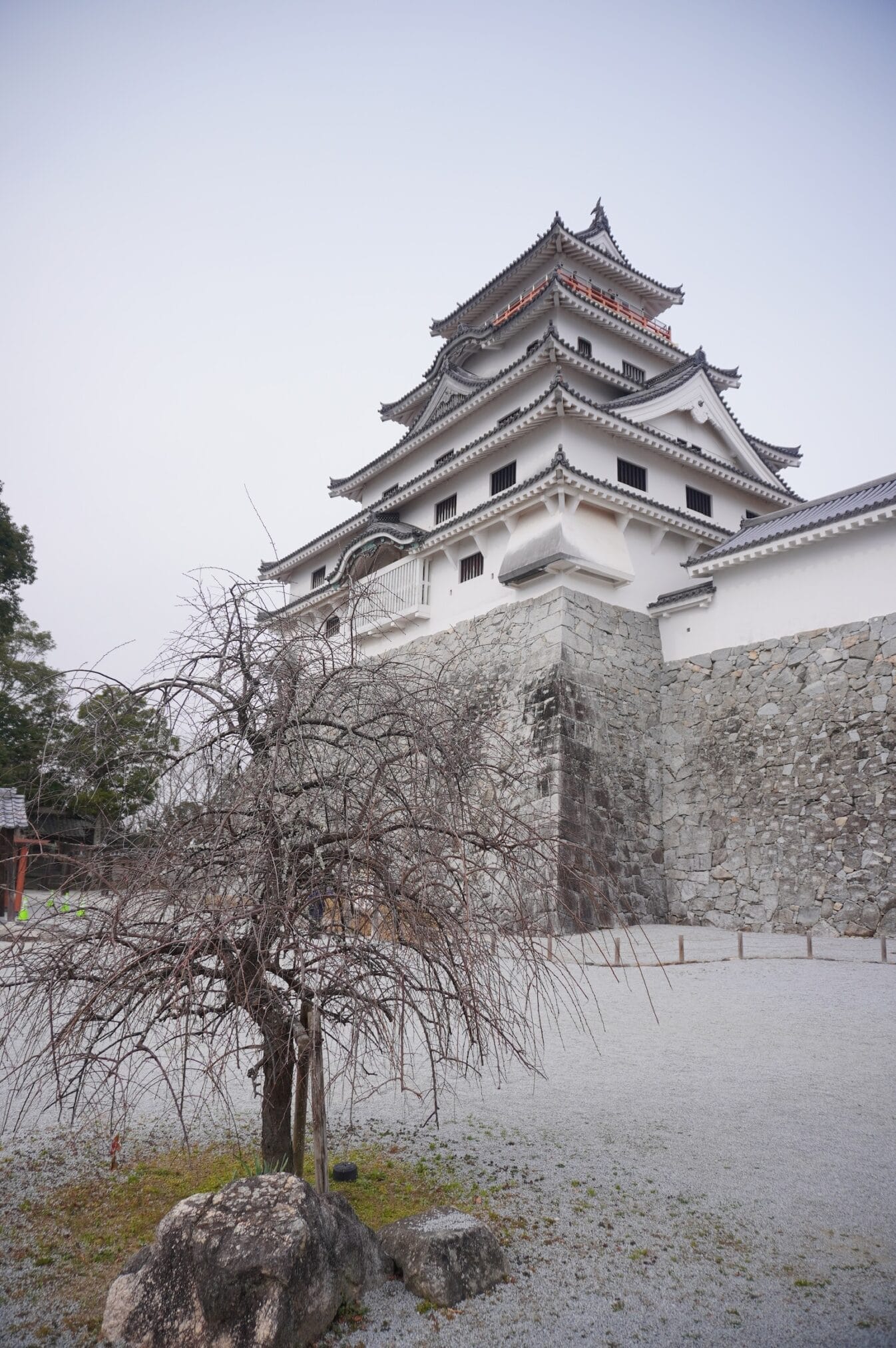 ปราสาทชิมาบาระสีขาวบนเกาะคิวชู, ญี่ปุ่น มีต้นไม้ด้านหน้า
