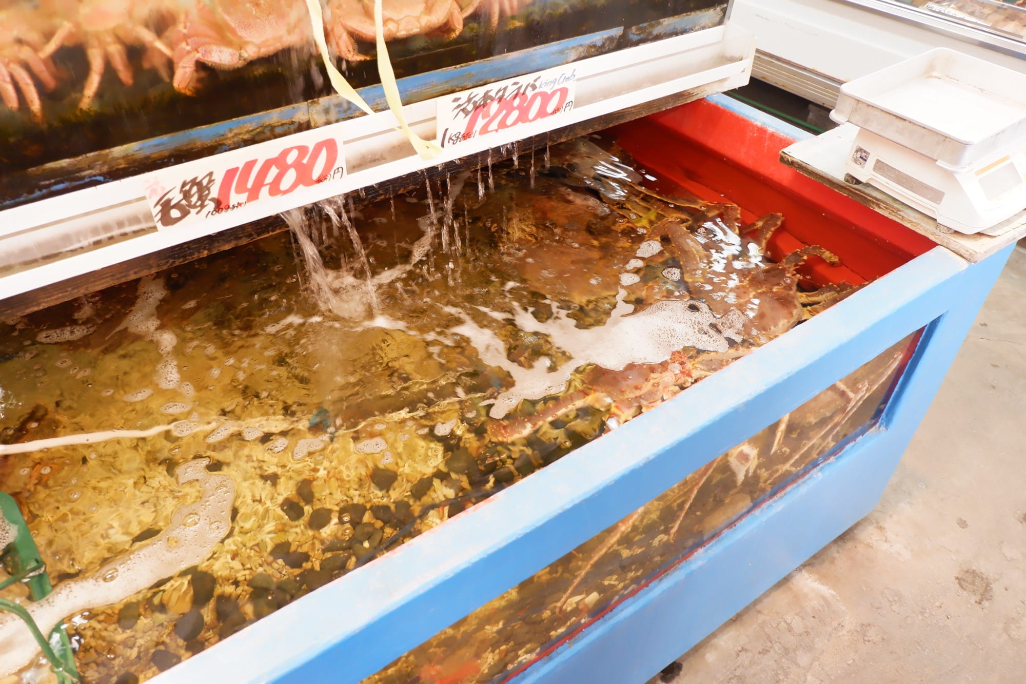 ปูในตู้ปลาที่ตลาดญี่ปุ่น ราคา 14,800 เยน และ 12,800 เยน