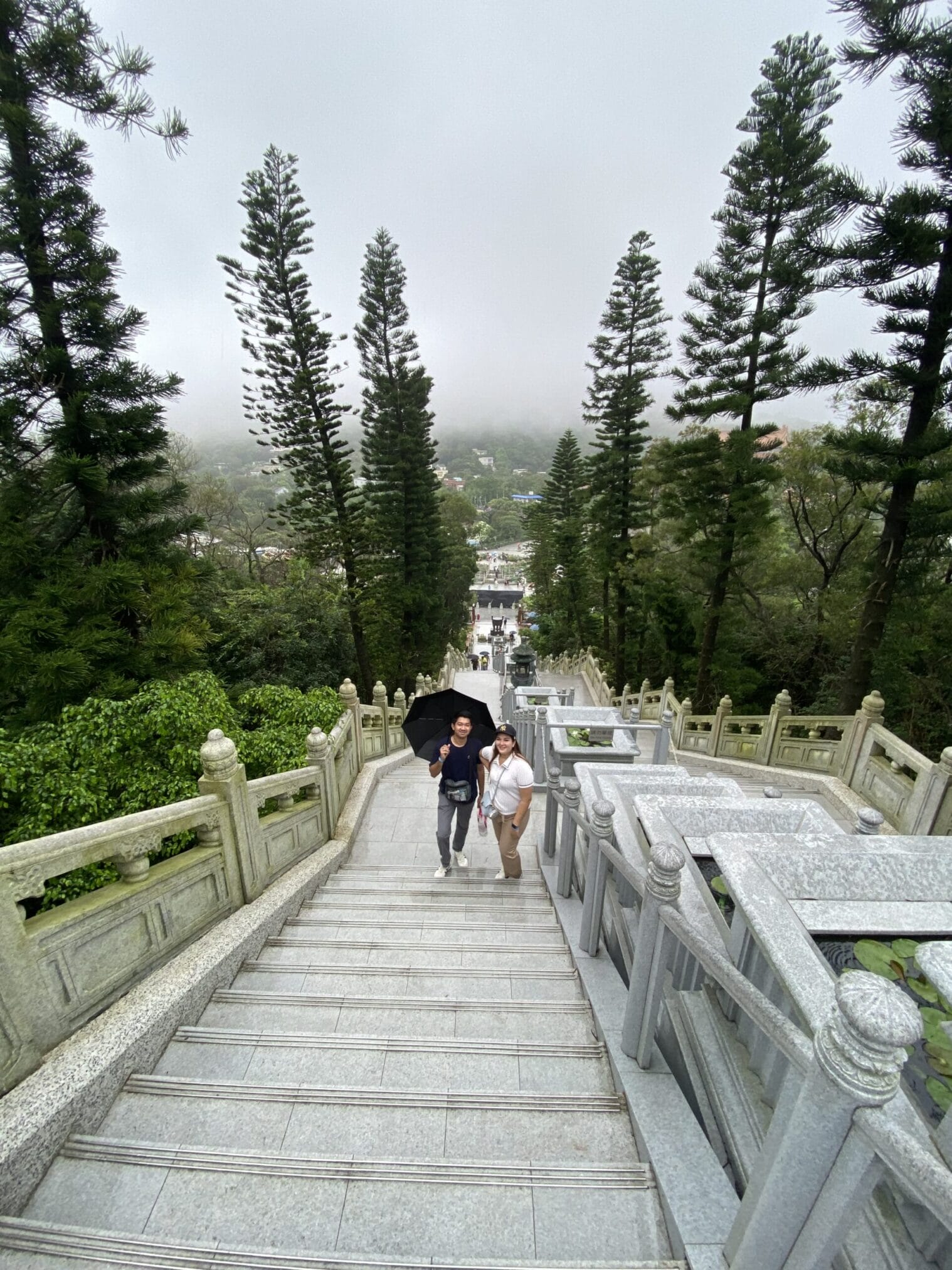 บันไดทางขึ้นวัดโปหลิน พร้อมต้นสนล้อมรอบ Po Lin Monastery stairs surrounded by pine trees