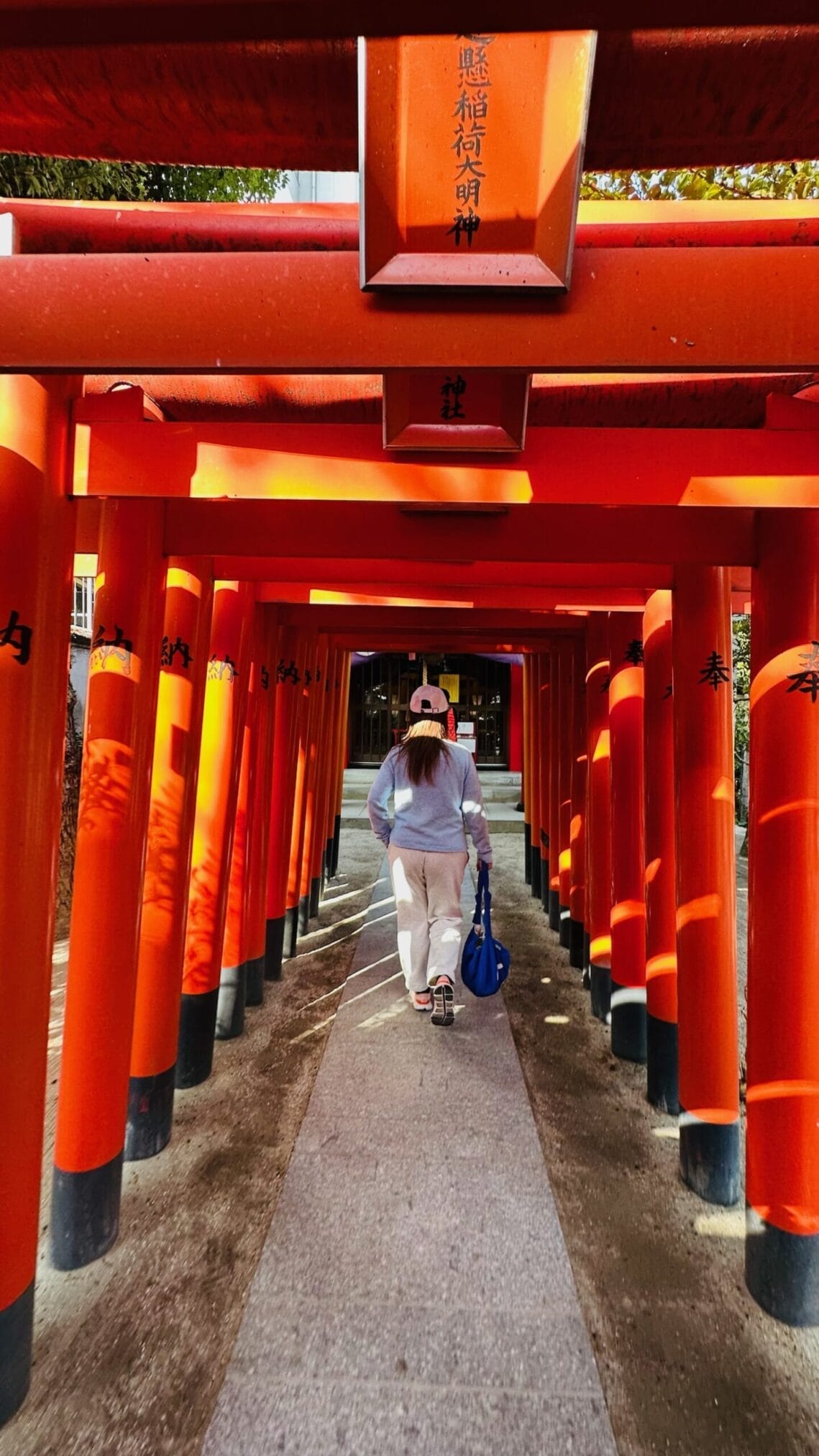 ทางเดินเสาโทริอิสีแดงสดใสในญี่ปุ่น ผู้หญิงเดินผ่านซุ้มประตู