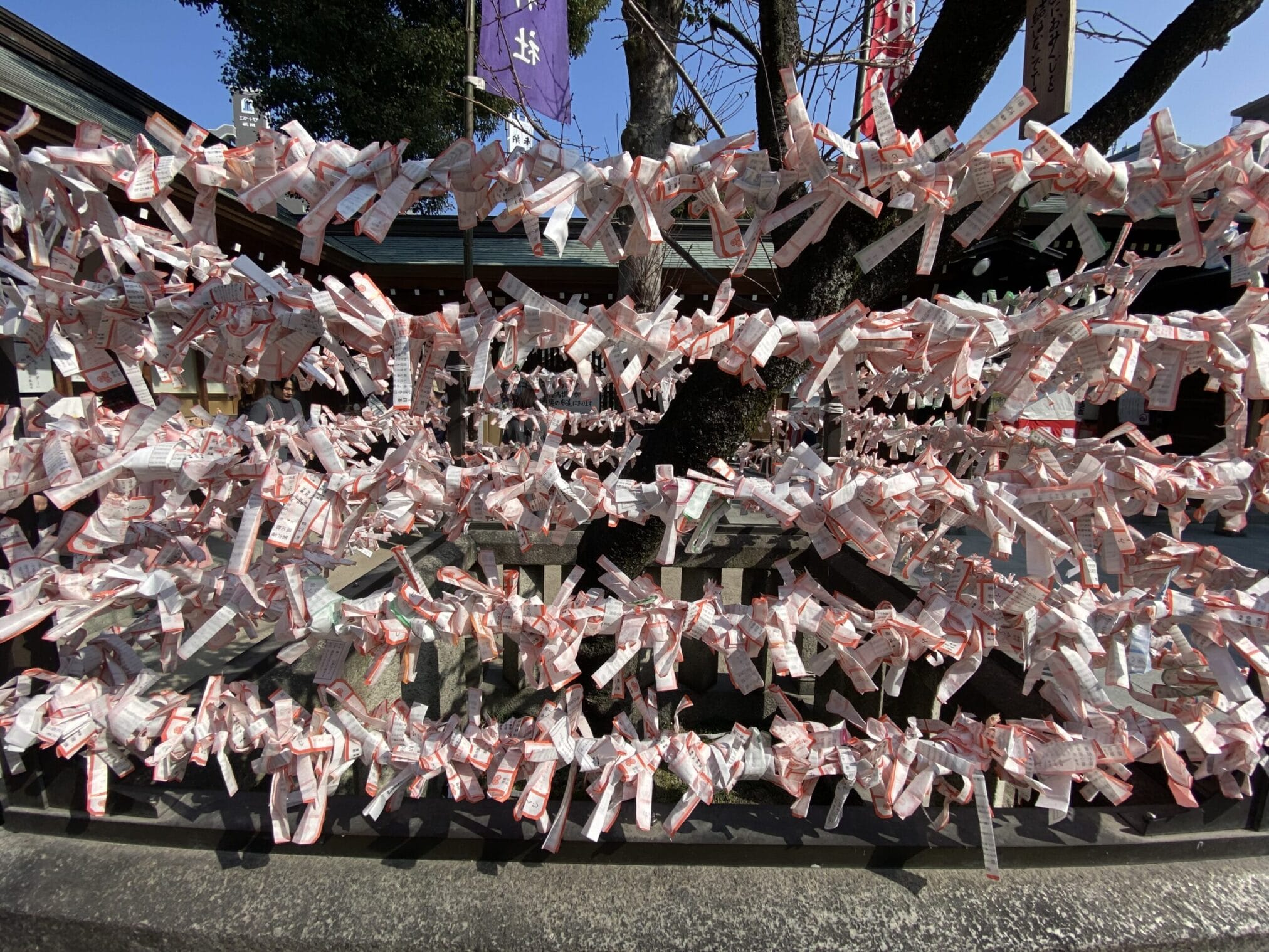 กระดาษเสี่ยงทายโอมิกุจิผูกกับต้นไม้ที่ศาลเจ้าในภูมิภาคคิวชู