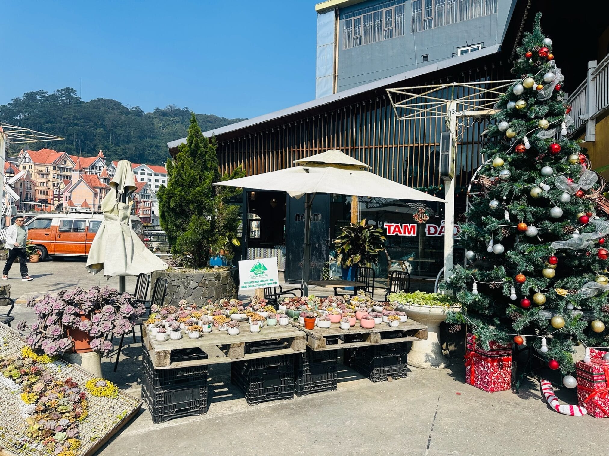 ตลาดต้นไม้ในฮานอย ประดับตกแต่งคริสต์มาส "ฮานอย – ตามด๋าว EP1