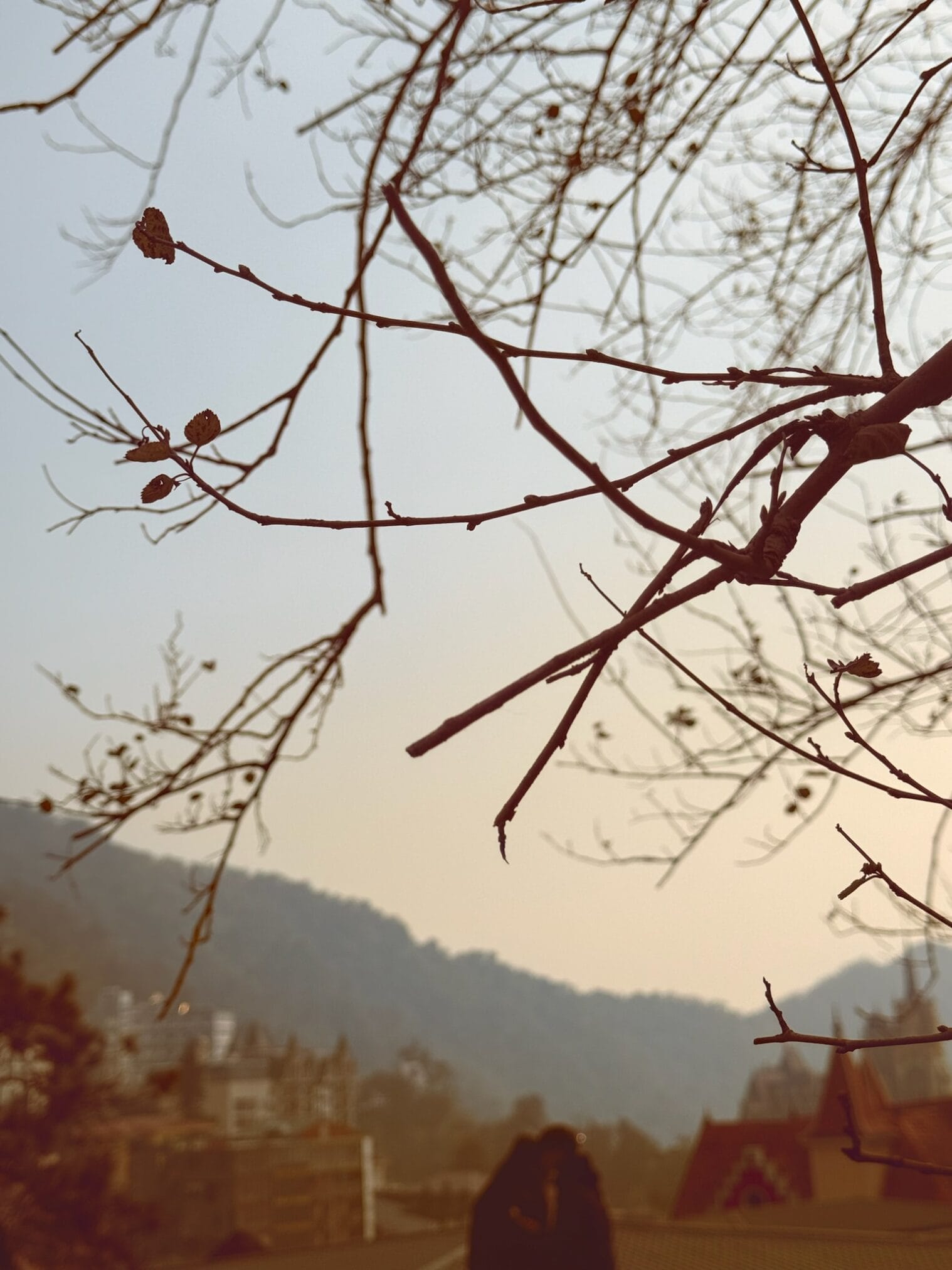 กิ่งไม้แห้งกับวิวฮานอยเบลอๆ ในตอนเช้า