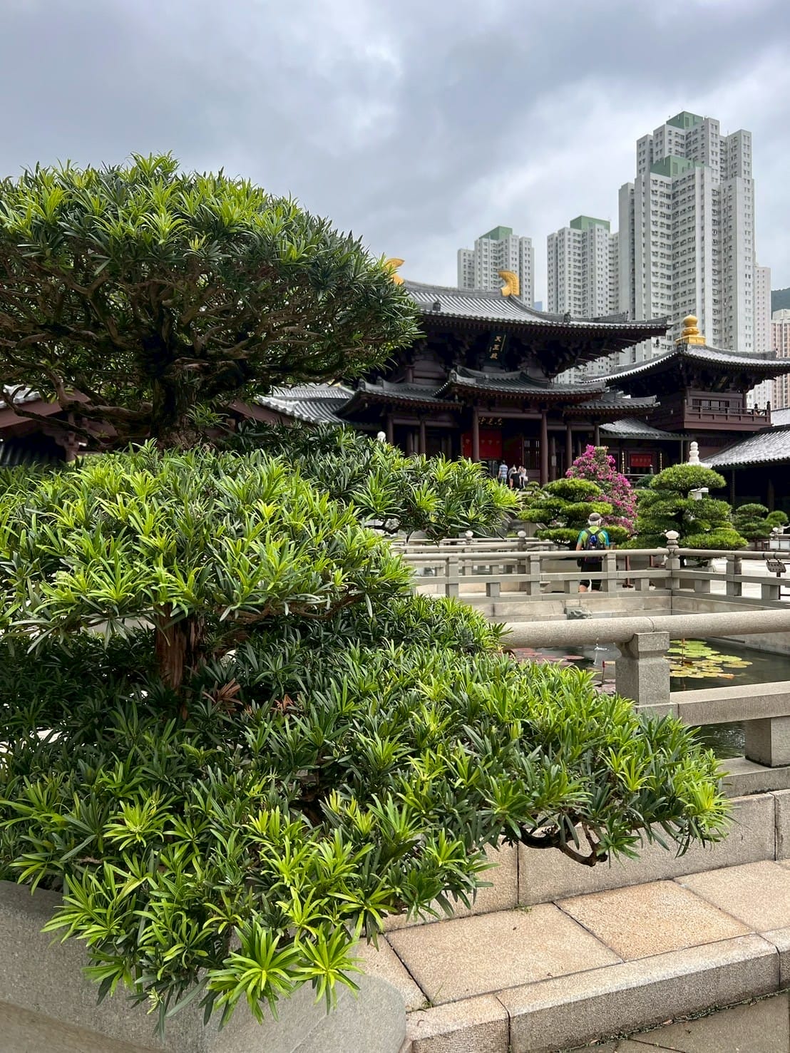 วัดจีนกับสวนต้นไม้ Temple and garden