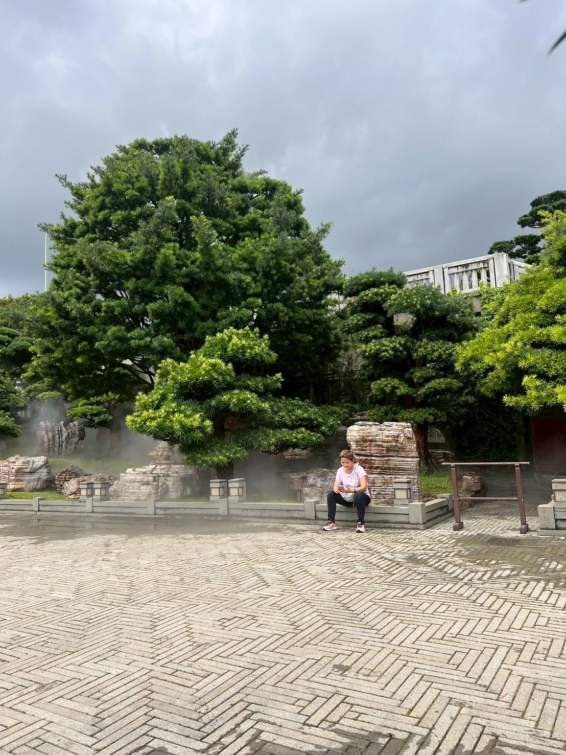 สวนต้นไม้ Green garden with large trees and stone decorations